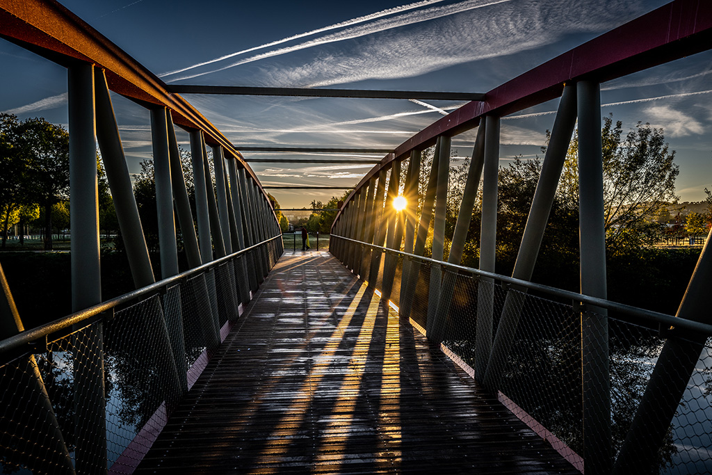  The Bridge Collection
