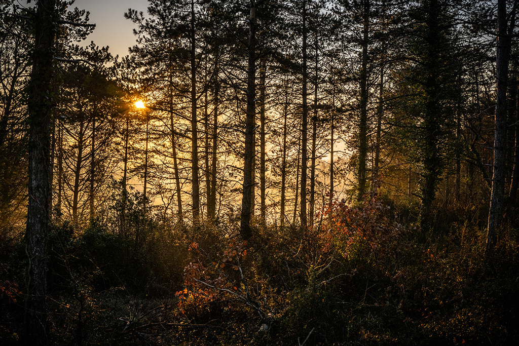  Paysages Gersoises - 2