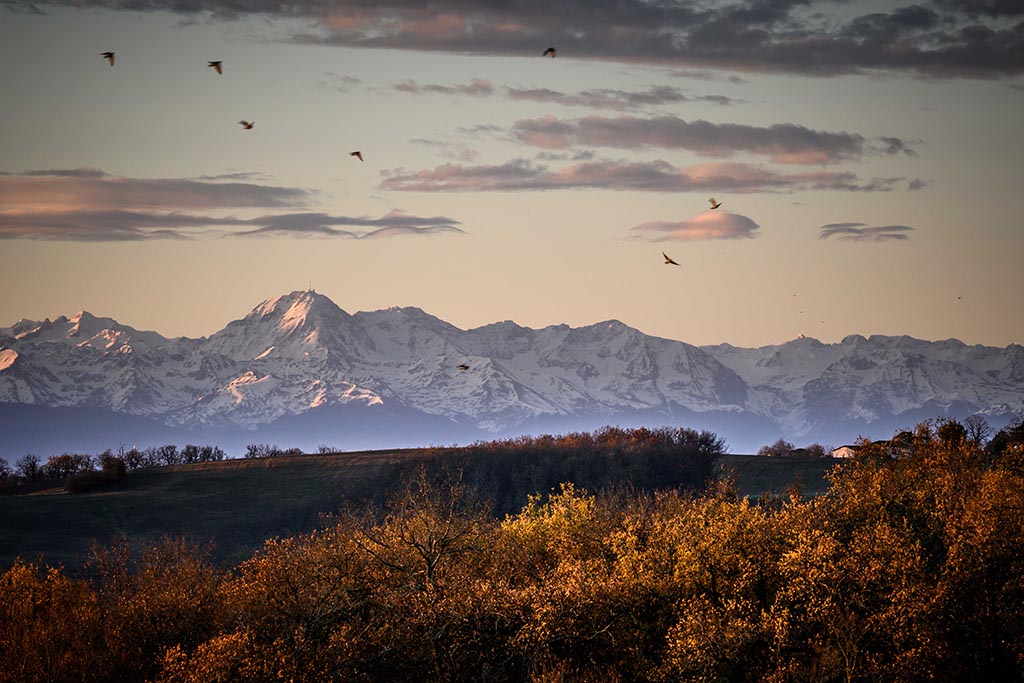  Paysages Auscitaines - 1