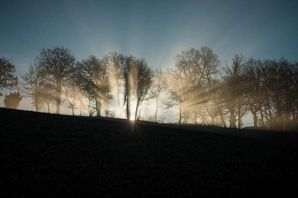  Paysages Auscitaines - 2