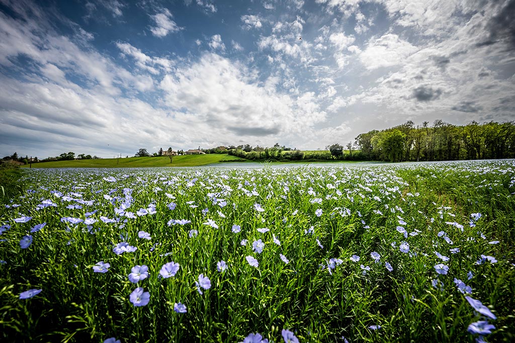  Paysages Gersois - 1