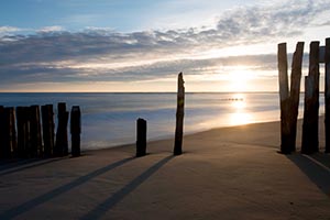  Cap Ferret