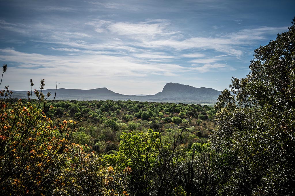  Weekend dans L'Hérault 2021