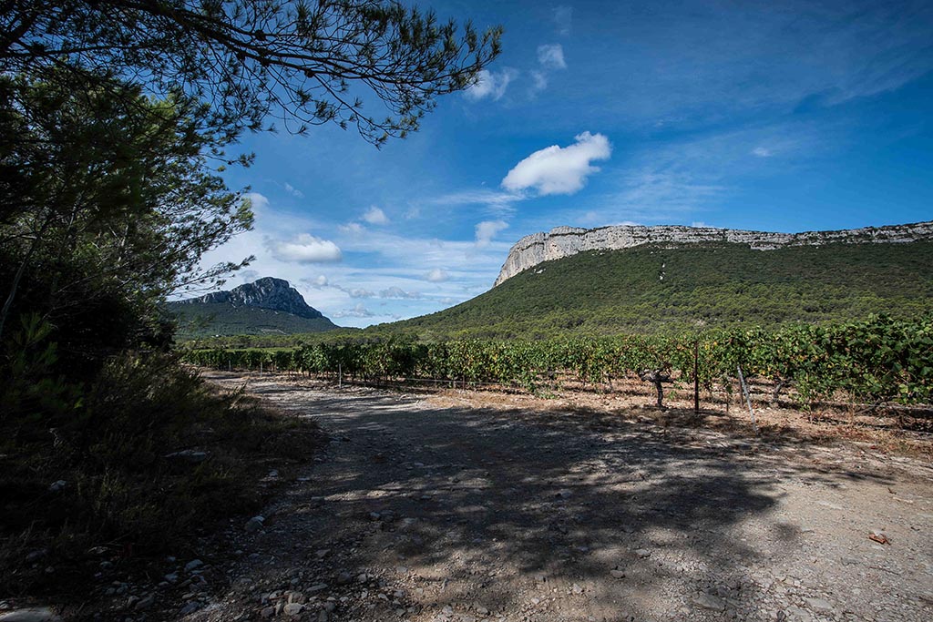  Hérault 2017