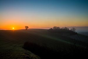  December Morning & Afternoon